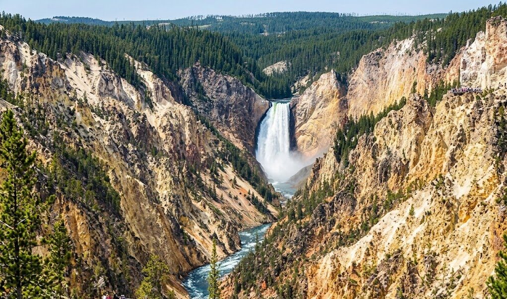 tour yellowstone national park The Lower Falls rushing into the Grand Canyon of the Yellowstone.